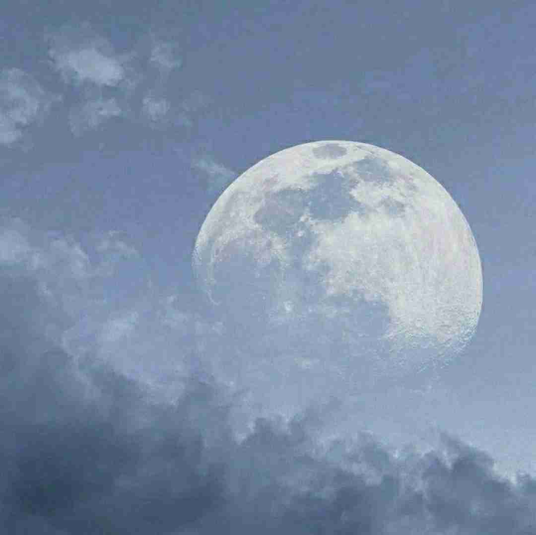  چرا داری باشم بد حرف میزنی با صدای باب اسفنجی