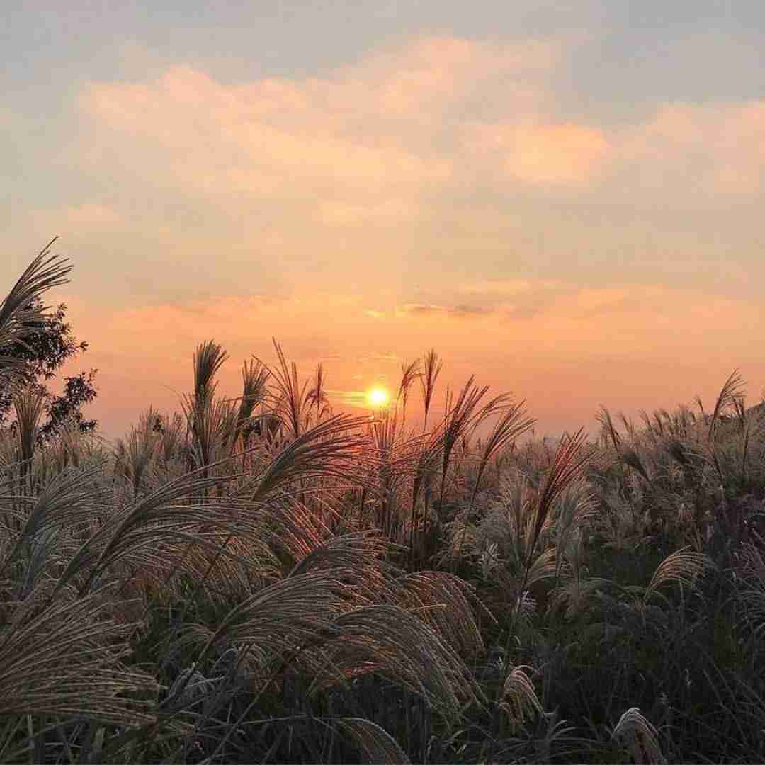  حبیبی کام تو قزوین اینجا اصلا