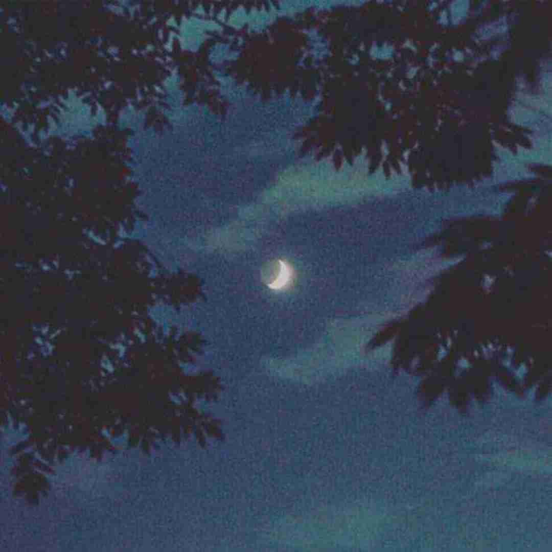 ستایش صادق زاده ایوار