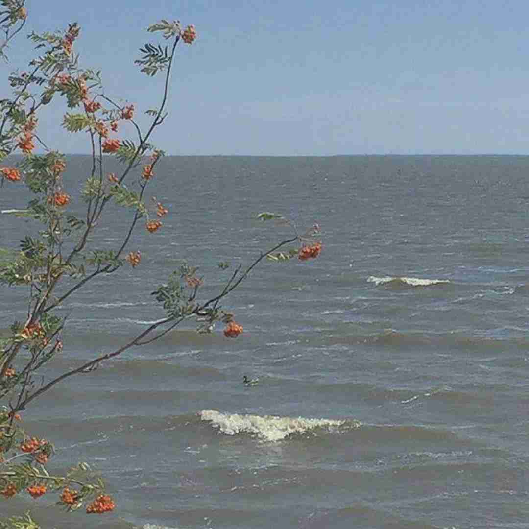  رفاقت ما مثال هر کتابه با صدای بچه