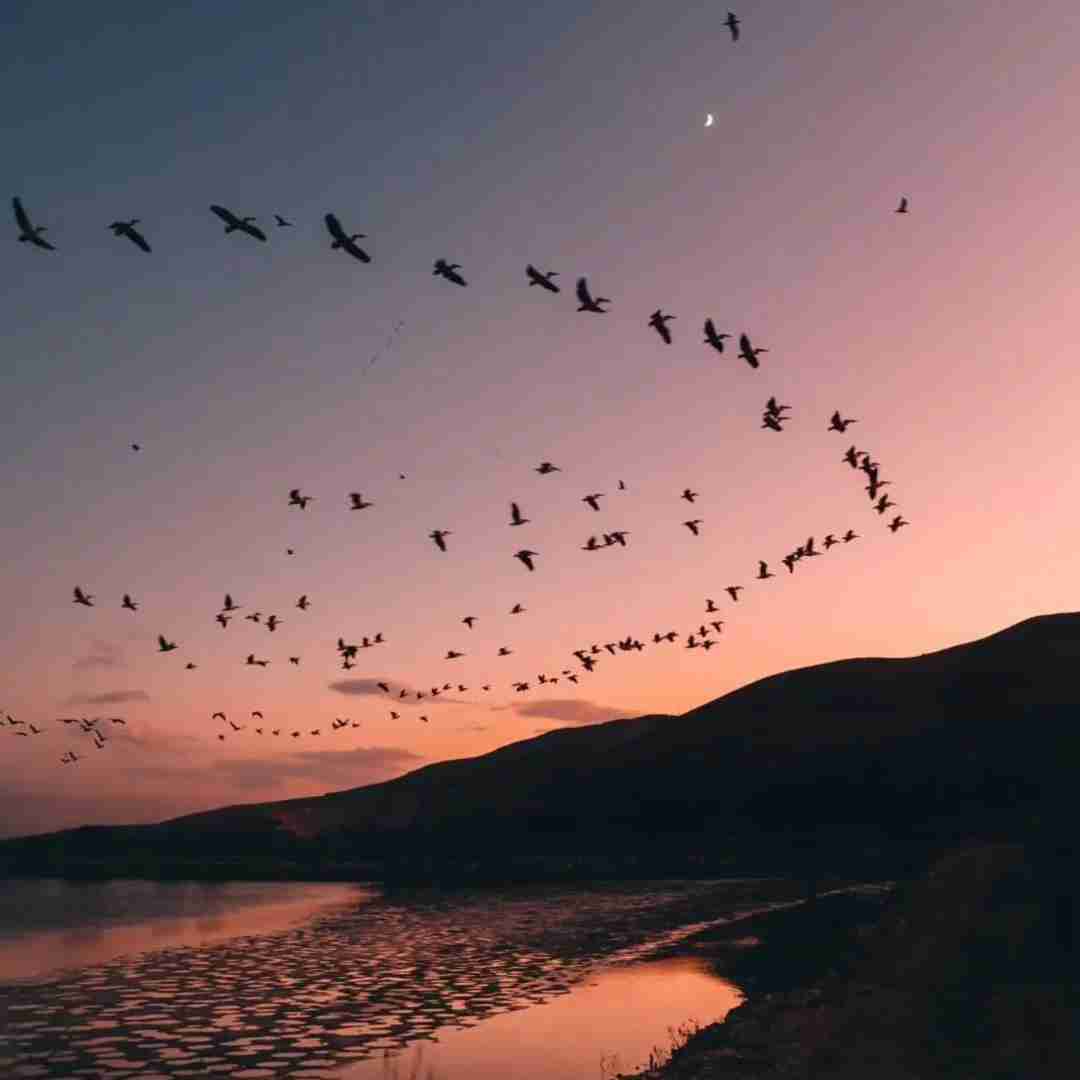  هی آقا ببخشید میشه مال من شی
