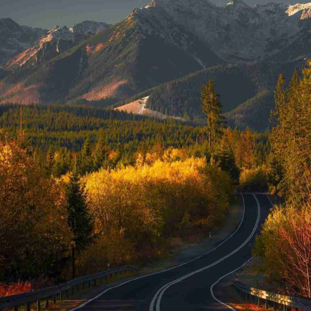  تو همین الانم از همه سری