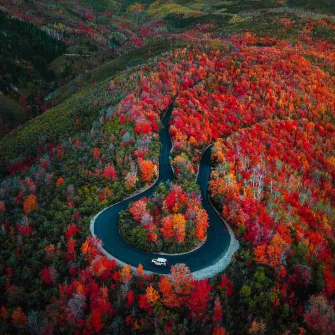  بیا کاری کن ای ای همنشینم من و تو هردو بدون تصمیم