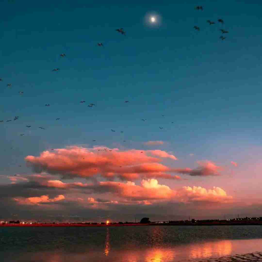 نویان شب عشق