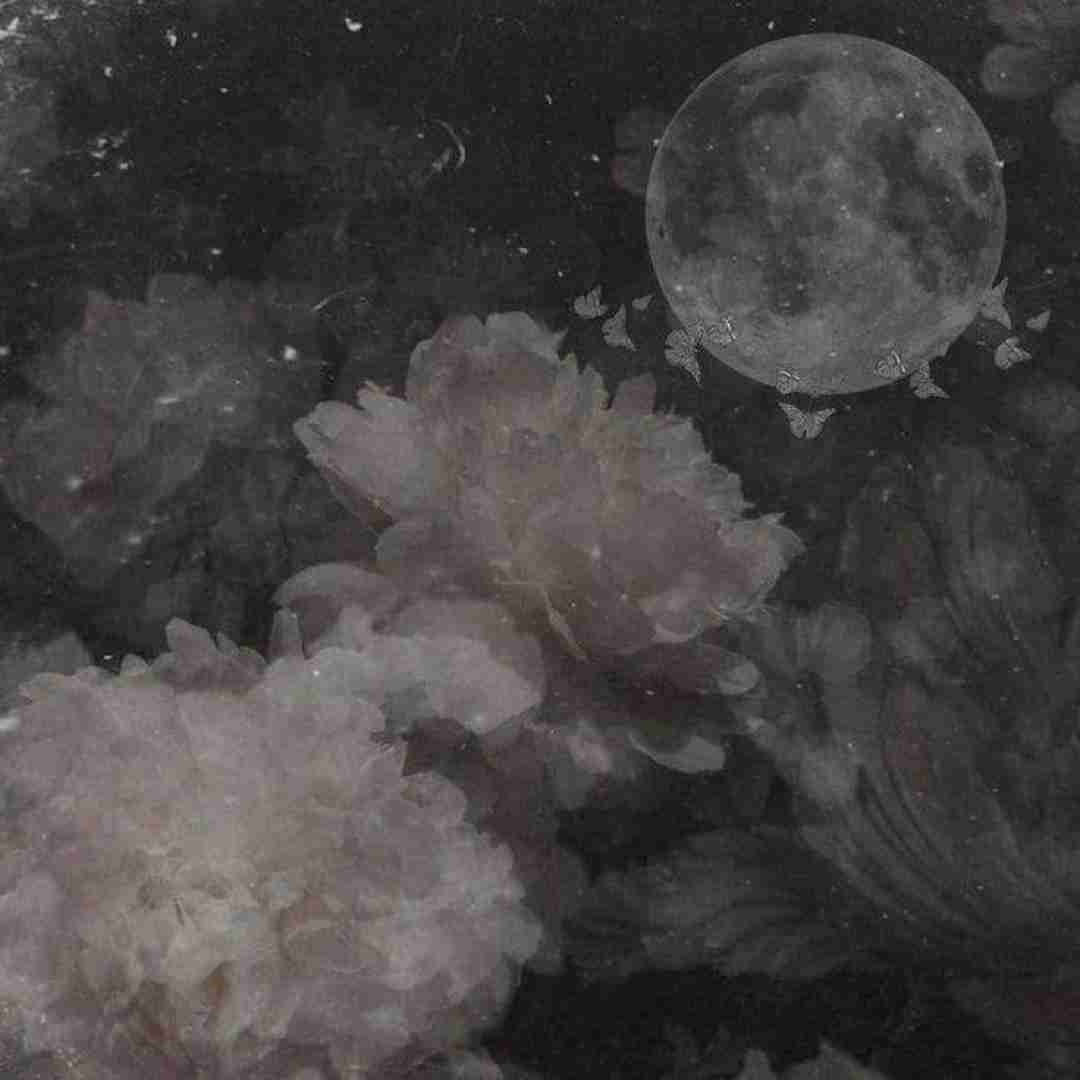  رفیقای ماشی منو دیدی نگو حاجی گل بپیچیم