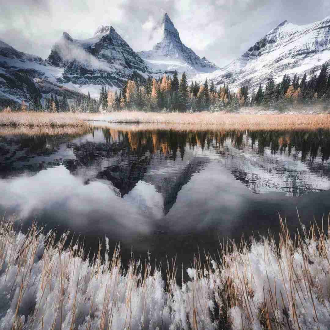  وای نفسم نفسم شدی تو ته قصه ی من تویی