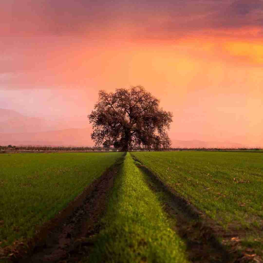  از یه طرف تنگه دلم ولی مغزم میگه خفه ببند