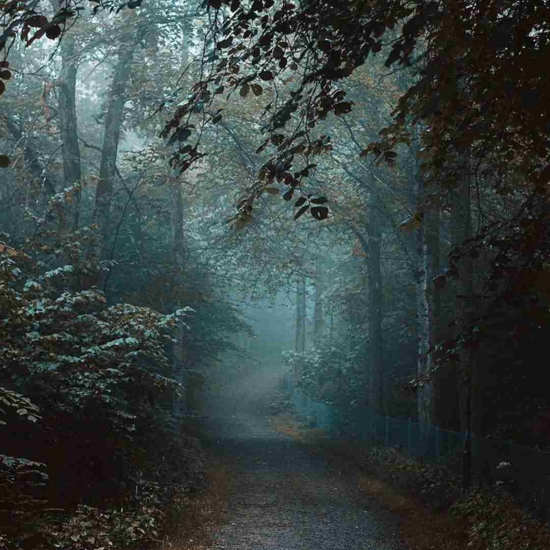  مگه چند روزه کلش بلند شو یکم موهاتو شونه کنش