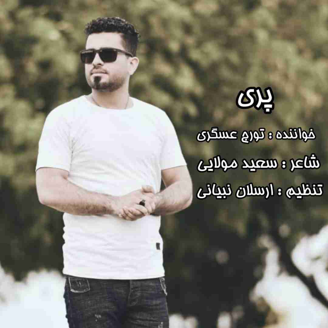 تورج عسگری پری