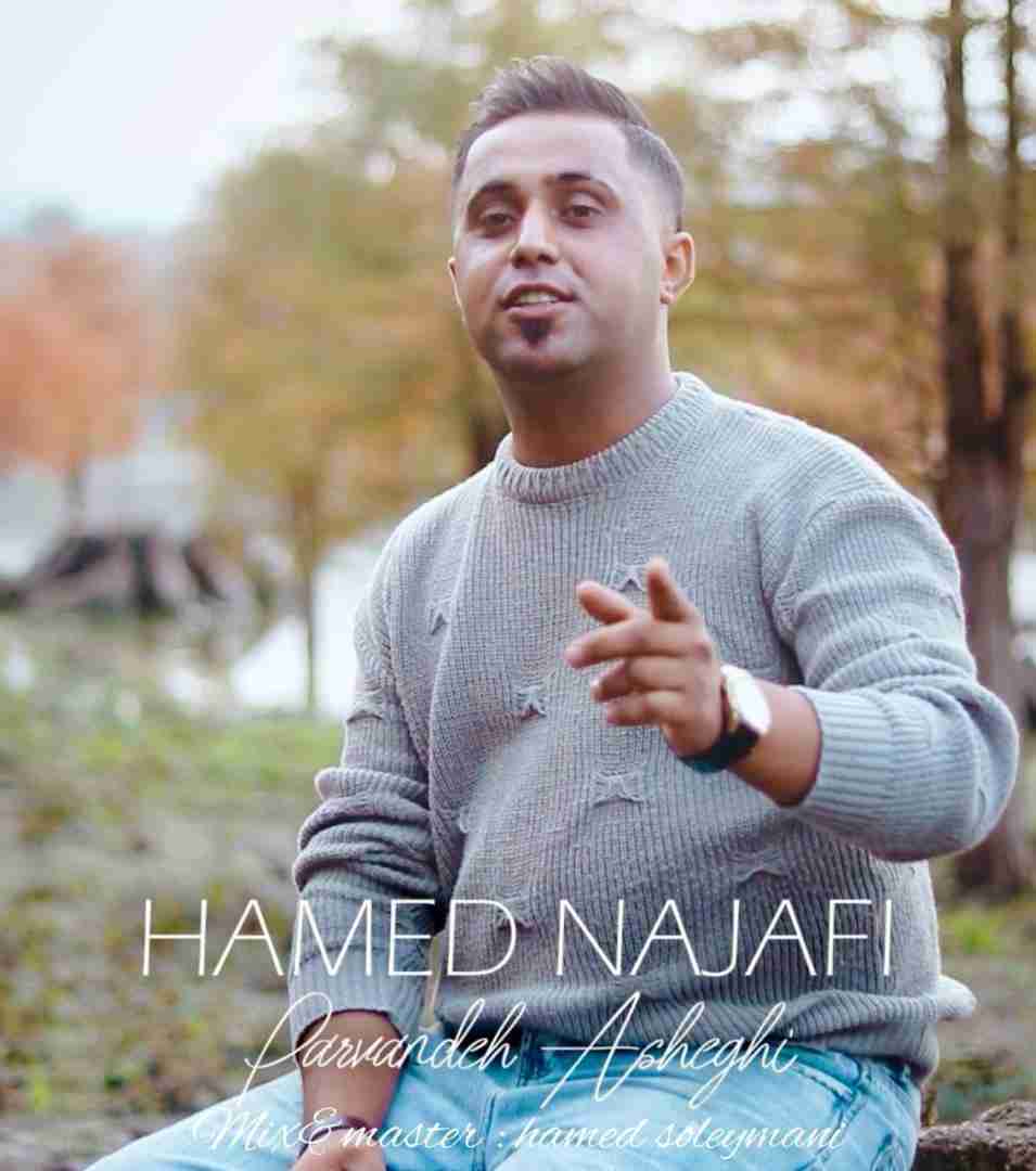 حامد نجفی پرونده عاشقی