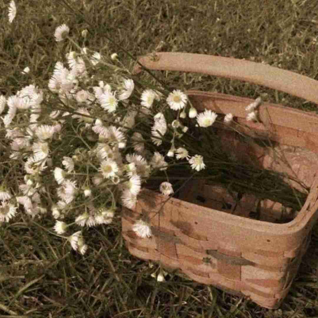  گولاخ آسون جماعت من دانیشیم نهایت با صدای باب اسفنجی