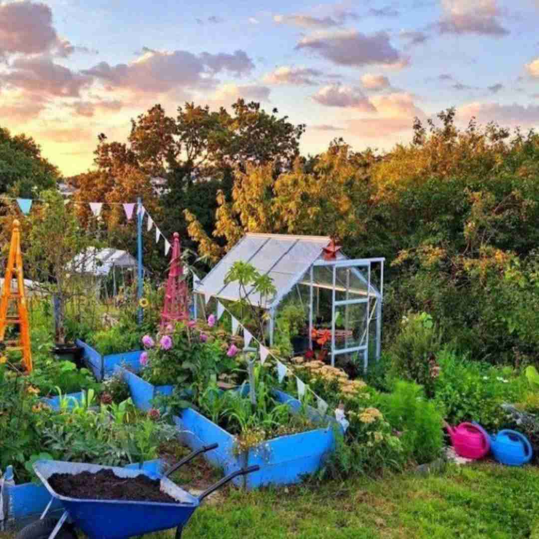  از خواب برگشتم به تنهایی زمستون وقت رفتن بود