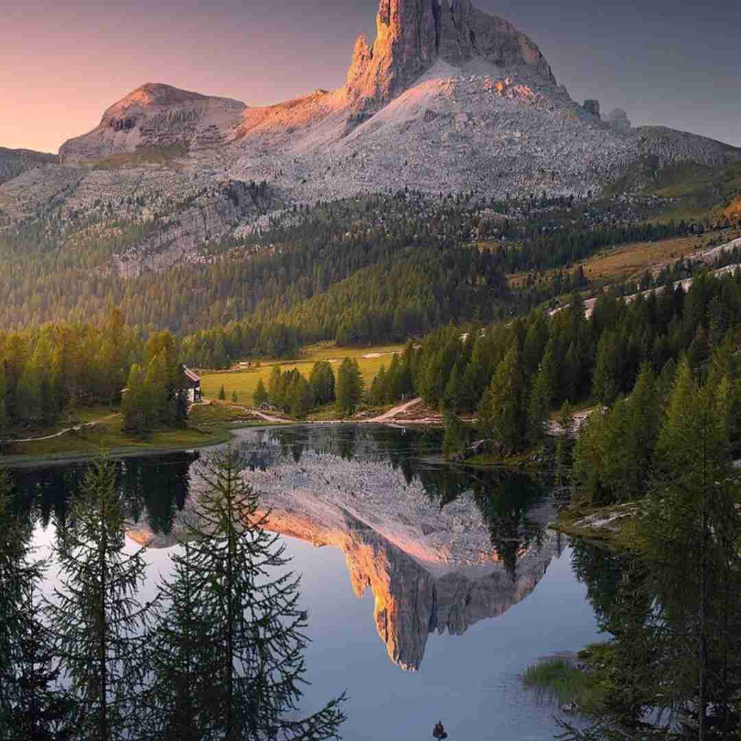  چه تلخه بی تو گم شدن