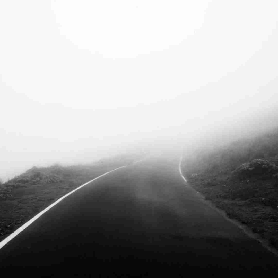  ادب به آدم بی ادب نکن گشنگی بکش از گوشت سگ نخور