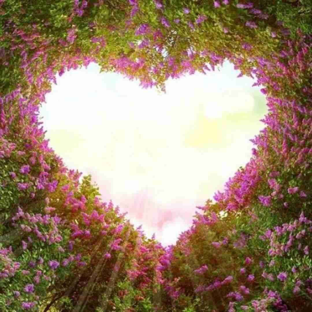  خارجی مزش شبیه فلفله حسم میکنی