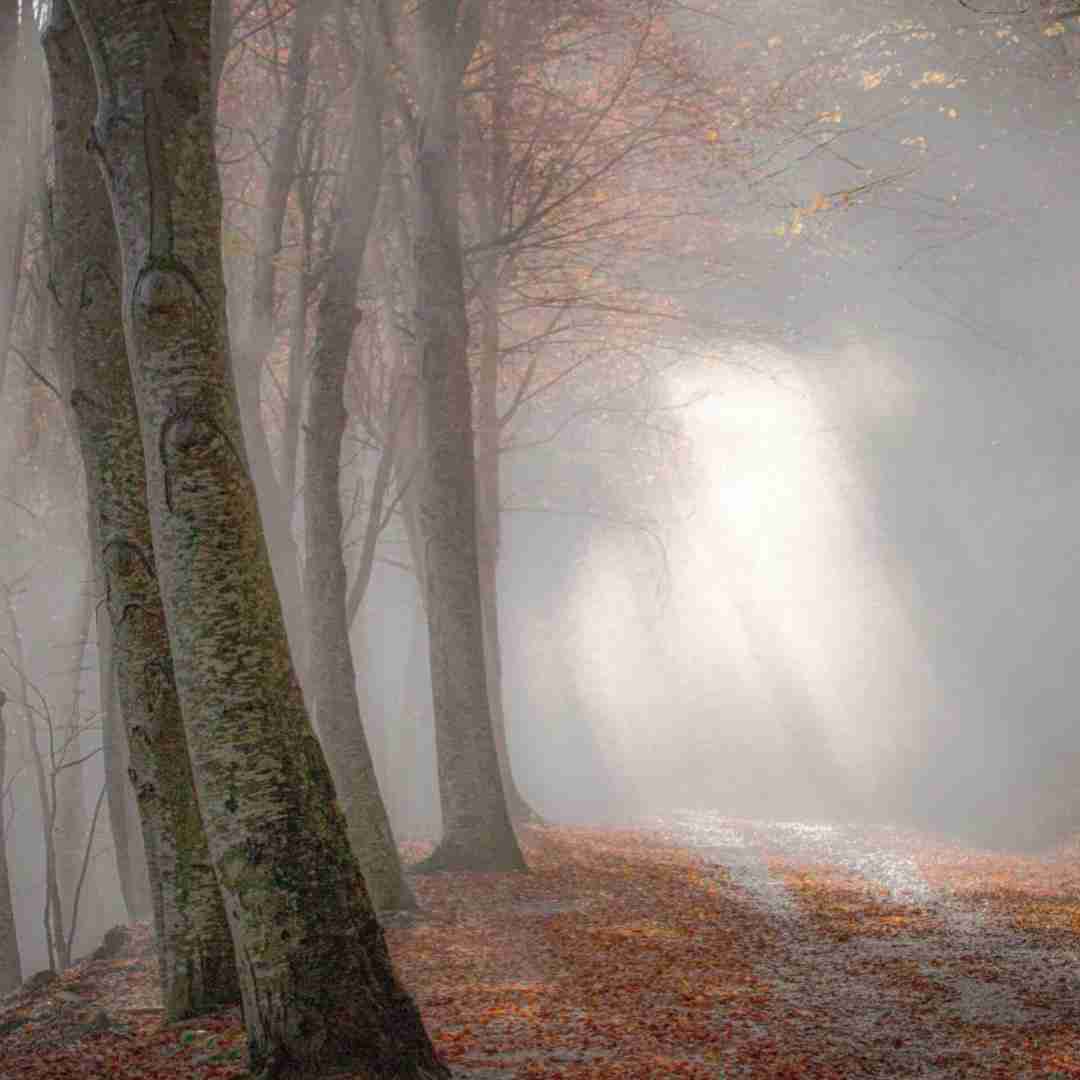  من اصلا حالیم نیست اگه سنگم بخواد بباره