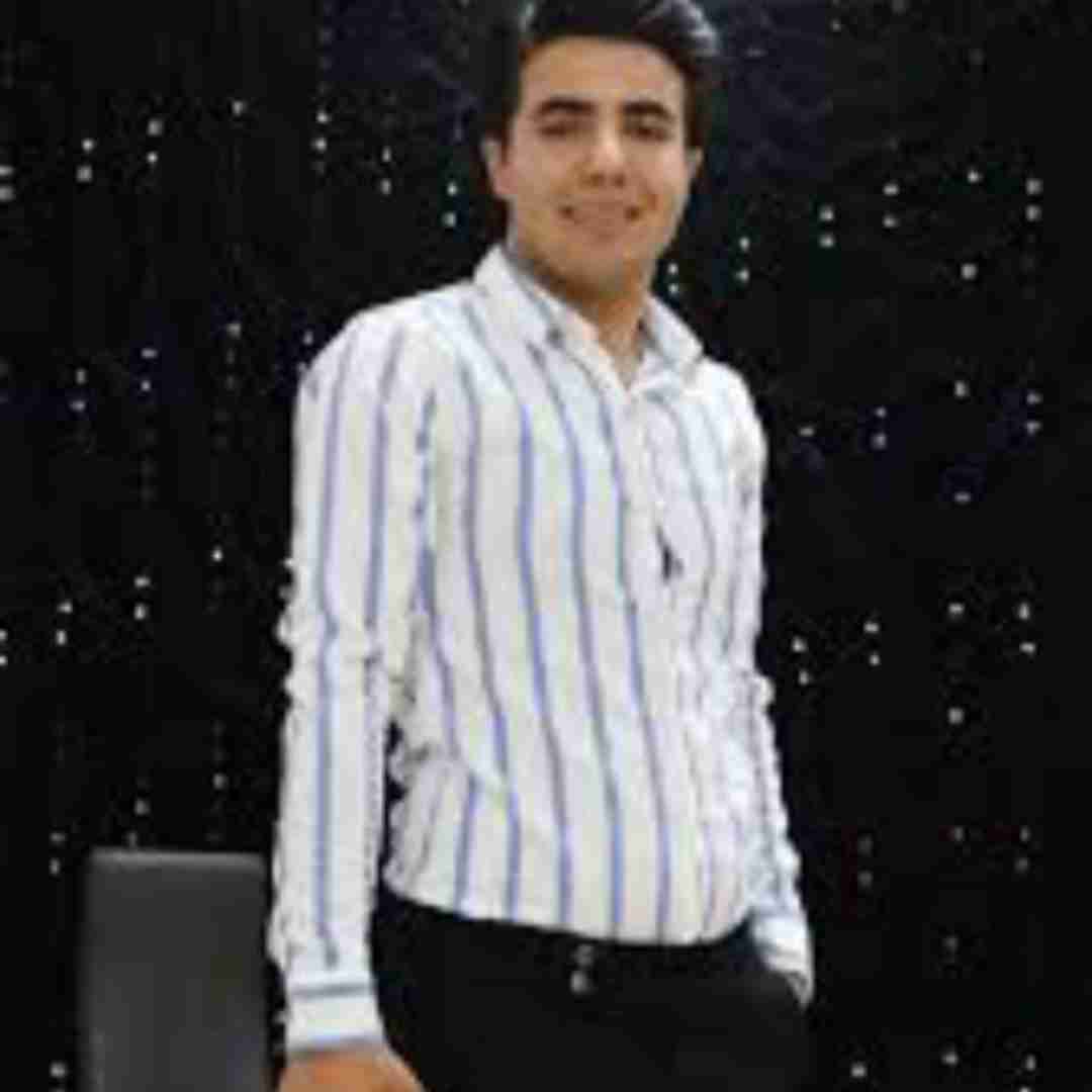 امیررضا محمودی مجنون