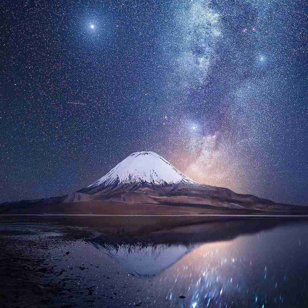 علی اسدیان نازدار گل اندام ۲