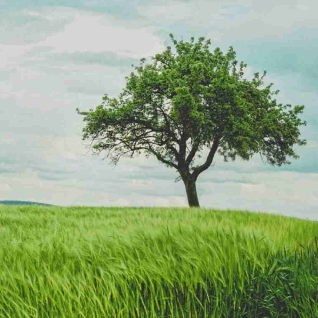  به یارم بگید بسشه دیگه وقتشه بیا طاقتم تمومه هوش مصنوعی