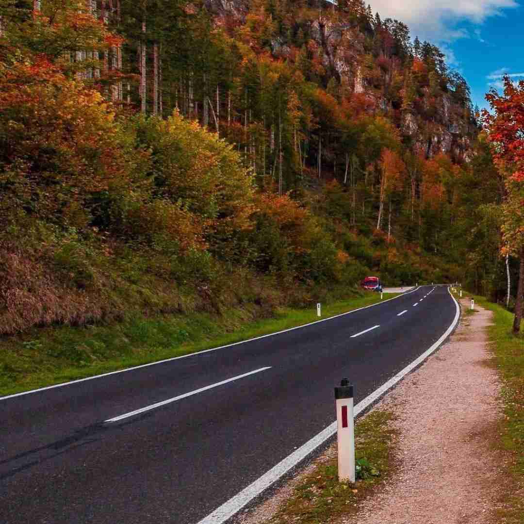  بی تو باخت و بردنم هیچ