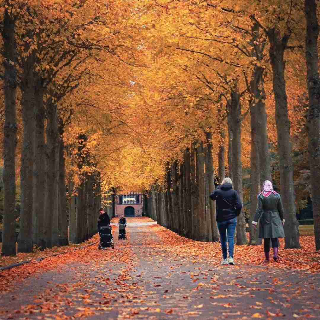  مگه صدا سلاح میتونه باشه آخه