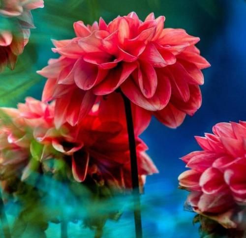  داغ عشق تو سیگاریم کرد نفس با صدای دختر