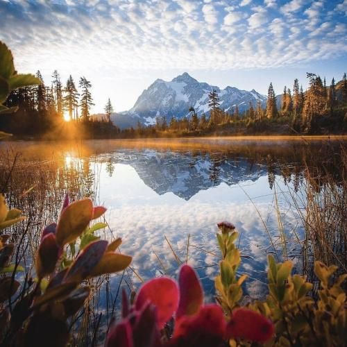  عشق پولی نیست (ورژن فارسی) با صدای دختر