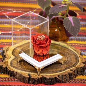 دانلود آهنگ میخوام بیام سمتت ولی دیگه دوره راهت برق اولای رابطه