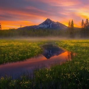 دانلود آهنگ اصلا نمیدونم این دافه کیه پیش من بچه خوبیه