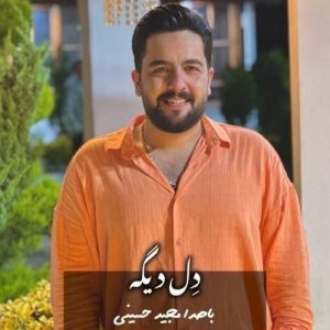 دانلود آهنگ دل دیگه از مجید حسینی