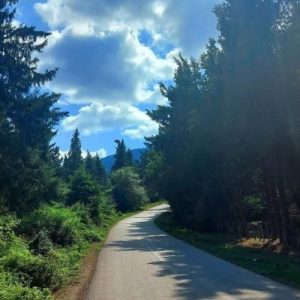 ای ساربان آهسته ران با صدای زن هوش مصنوعی