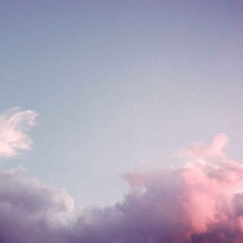 به ما بگو کارتو میدم به سگا گوشت خامتو