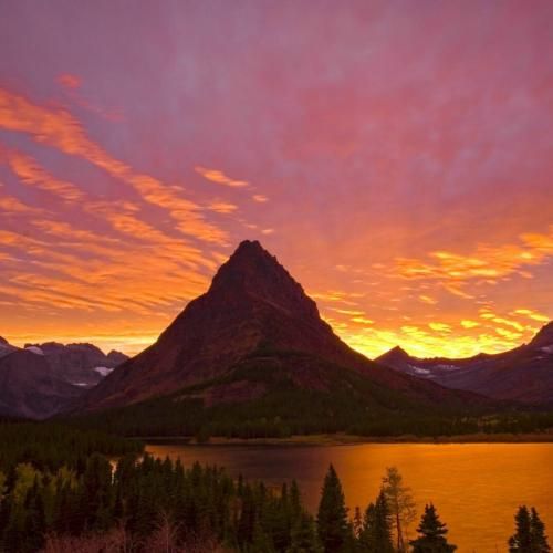  مگه چی شد که رفتی از پیشم از نبودت هنوز گیجم