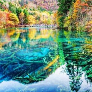 دانلود آهنگ هی با خودم میگم نگم ولی تو بودی شاهرگم هوش مصنوعی