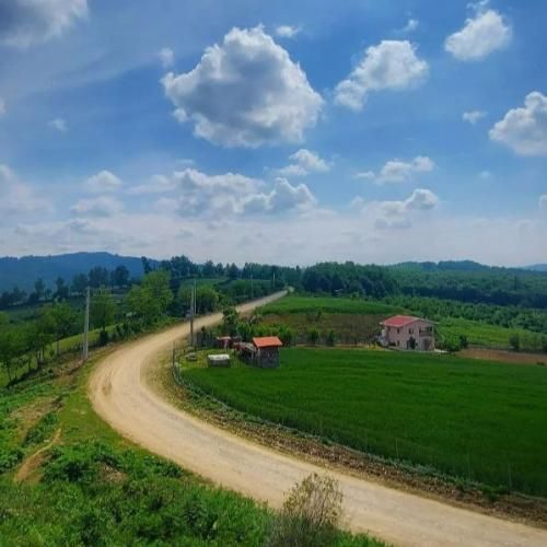  برو دیگه مردی برا من باشه اصلا بردی منو ولی