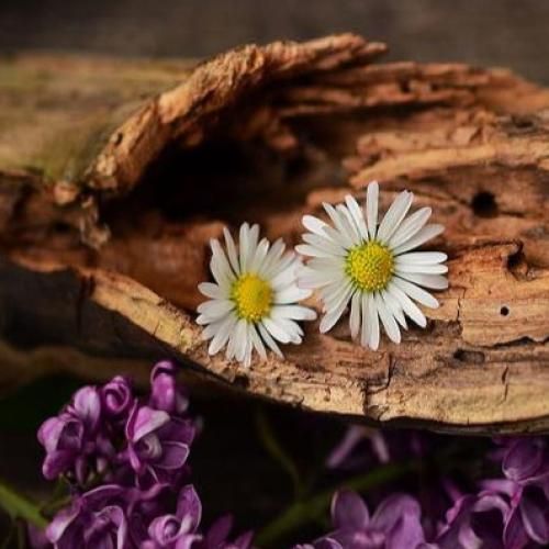 من قلبتو دیدم و حتی قبل این که در بیاد پیرهن