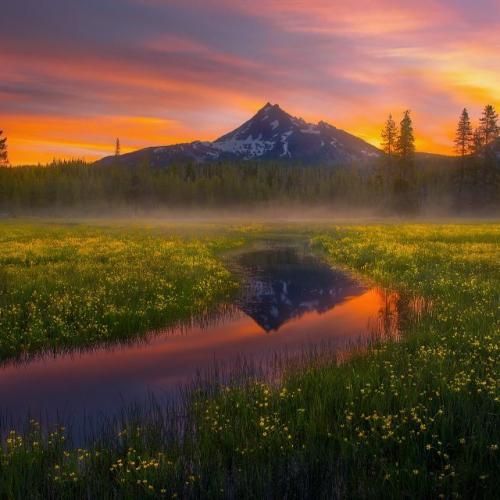 بیبی کیو چی میخواد بیاد بین ما دوتا