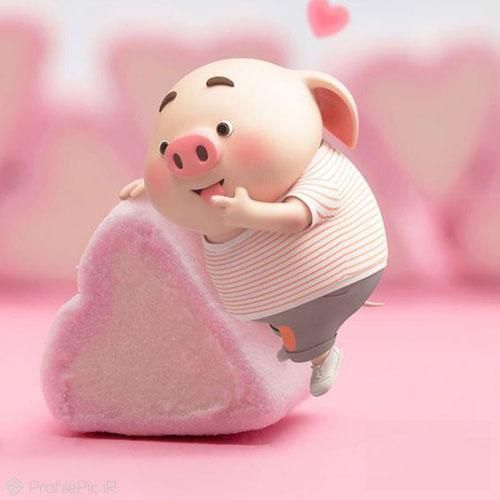 من دیوانه هستم هستی پایه احسنت