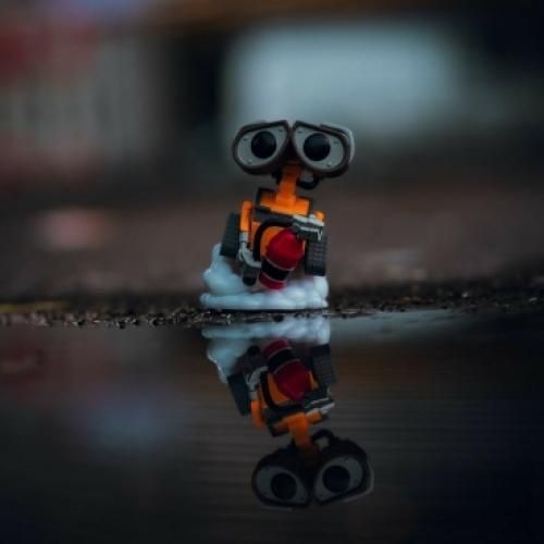  بازم مثل هر بار بر می گردی پیش من دلت شکست