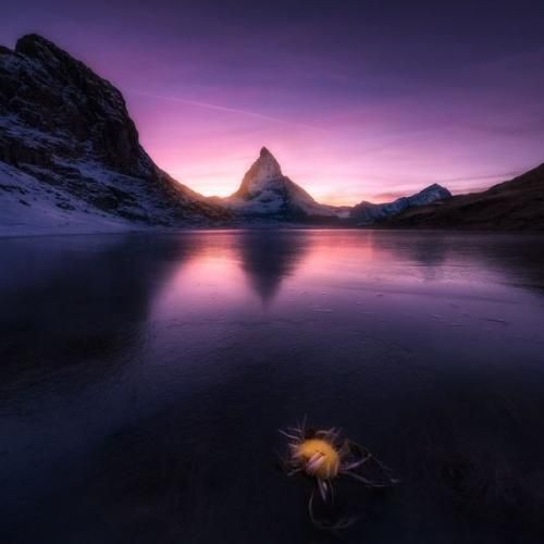  کاش از اون اول تنمون به هم نمیخورد بیبی