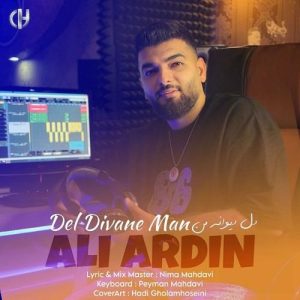 دانلود آهنگ دل دیوانه من از علی آردین