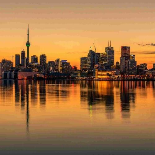  میذارم سر روی شونت که قلبت بی قرارم شه