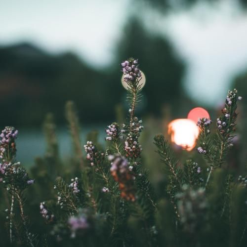  حالم مثل قبلا نی از دل من رفتی