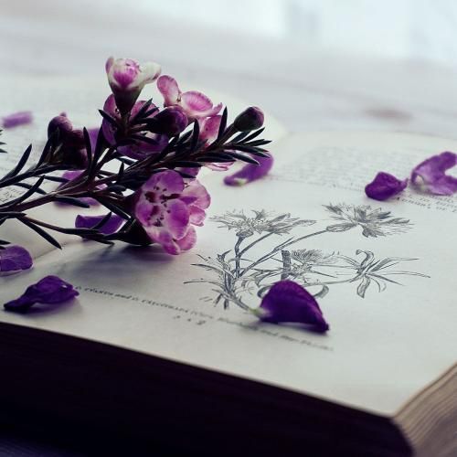  بد زدی حسامو دور حرص میخورم امسالو کلشو