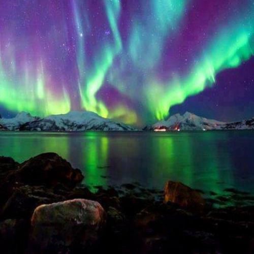 مامان قول میدم دستتو تا آرنج طلا میکنم