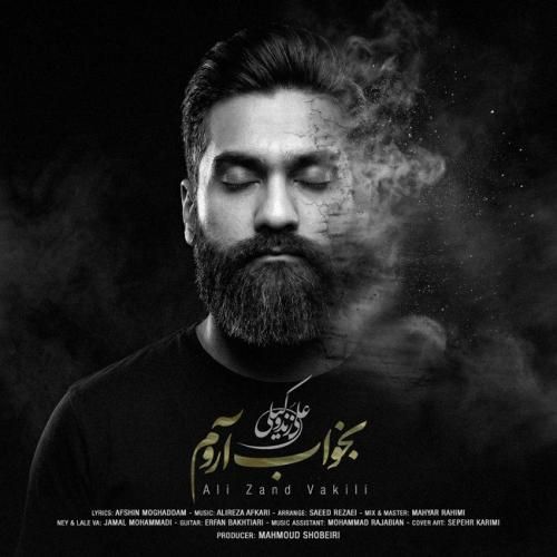 علی زندوکیلی بخواب آروم