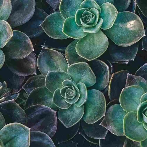 یه رو خوب میشه حالت یه رو که خیلی دیر نی