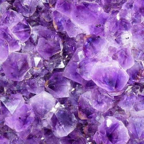 از ماتم سرو از ماتم سرو