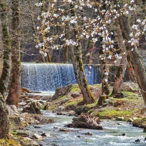  یه روز از همه ی اشکات دریا میسازم